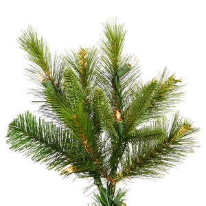 A118266 Holiday/Christmas/Christmas Trees