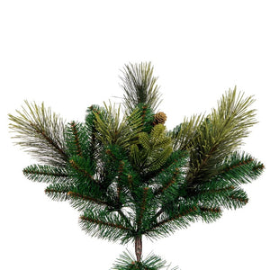 DT210575 Holiday/Christmas/Christmas Trees