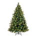 DT210575 Holiday/Christmas/Christmas Trees