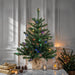 B160444LED Holiday/Christmas/Christmas Trees
