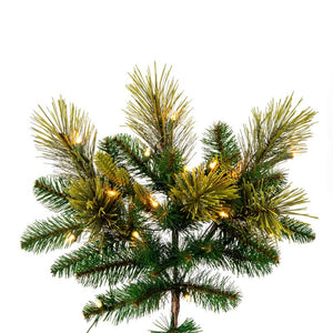 DT210576 Holiday/Christmas/Christmas Trees