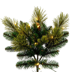 DT210581LED Holiday/Christmas/Christmas Trees