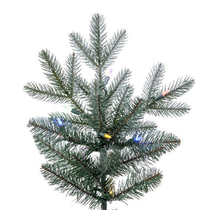 DT216278LEDCC Holiday/Christmas/Christmas Trees
