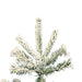 A862085 Holiday/Christmas/Christmas Trees