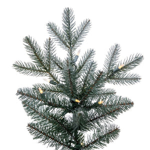 DT216266LED Holiday/Christmas/Christmas Trees