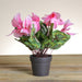 32733415 Decor/Faux Florals/Floral Arrangements