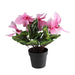 32733415 Decor/Faux Florals/Floral Arrangements