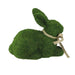32726502 Holiday/Easter/Easter Tableware and Decor