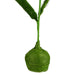 32002776 Decor/Decorative Accents/Sculptures Figurines & Finials