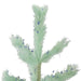 32728988 Holiday/Easter/Easter Tableware and Decor