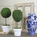31516459 Decor/Faux Florals/Plants & Trees