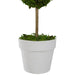 31516459 Decor/Faux Florals/Plants & Trees