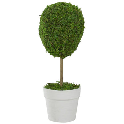 Product Image: 31516459 Decor/Faux Florals/Plants & Trees