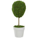 31516459 Decor/Faux Florals/Plants & Trees