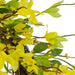32840810 Decor/Faux Florals/Wreaths & Garlands