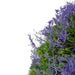 31516460 Decor/Faux Florals/Wreaths & Garlands