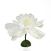 32002822 Decor/Decorative Accents/Sculptures Figurines & Finials