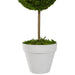 31516466 Decor/Faux Florals/Plants & Trees