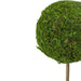31516466 Decor/Faux Florals/Plants & Trees