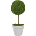 31516466 Decor/Faux Florals/Plants & Trees