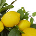 34769234 Decor/Faux Florals/Wreaths & Garlands
