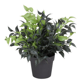 9.5" Green Potted Artificial Leafy Spring Foliage