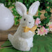 32728972 Holiday/Easter/Easter Tableware and Decor