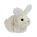 32728974 Holiday/Easter/Easter Tableware and Decor