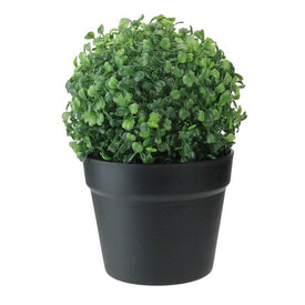 12.5" Green and Black Potted Artificial Boxwood Spring Garden Plant