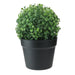 32036218 Decor/Faux Florals/Plants & Trees