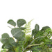 34769213 Decor/Faux Florals/Wreaths & Garlands