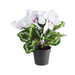 32733413 Decor/Faux Florals/Floral Arrangements