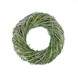 14" Green and White Moss Twig Artificial Wreath