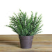 32734189 Decor/Faux Florals/Plants & Trees