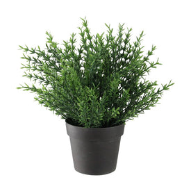 9.5" Green Potted Artificial Thyme Plant