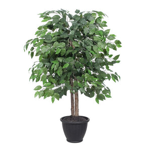TBU0140-RG Decor/Faux Florals/Plants & Trees