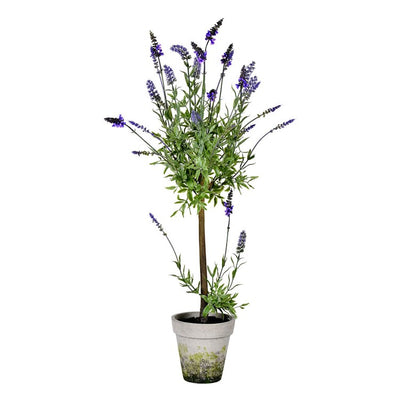 Product Image: FJ190536 Decor/Faux Florals/Plants & Trees
