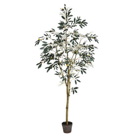 Vickerman 6' Artificial Potted Olive Tree.