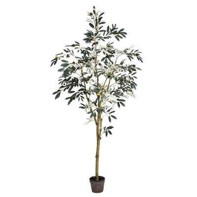 TB180572 Decor/Faux Florals/Plants & Trees