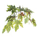 TBU1740 Decor/Faux Florals/Plants & Trees
