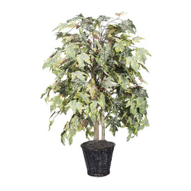 4' Artificial Frosted Maple Bush in Rattan Basket