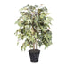 TBU1740 Decor/Faux Florals/Plants & Trees