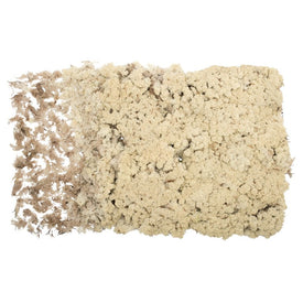 Dried and Preserved Natural Reindeer Moss 9 Lbs Per Box