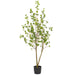 FU191572 Decor/Faux Florals/Plants & Trees
