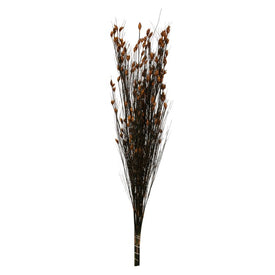 36"-40" Dried and Preserved Bell Grass with Autumn Pod Bundle