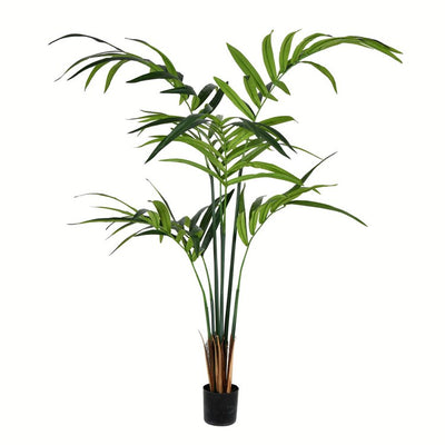 Product Image: TB090550 Decor/Faux Florals/Plants & Trees