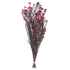14"-16" Dried and Preserved Wild Berry Rice Flower 9.5 oz Bundle