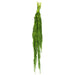 H3AMA115 Decor/Faux Florals/Floral Arrangements