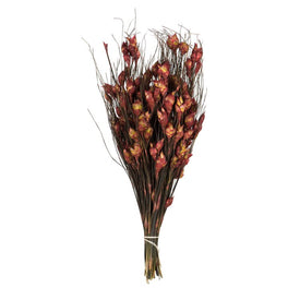 15"-20" Dried and Preserved Bell Grass with Red Pods 10 oz