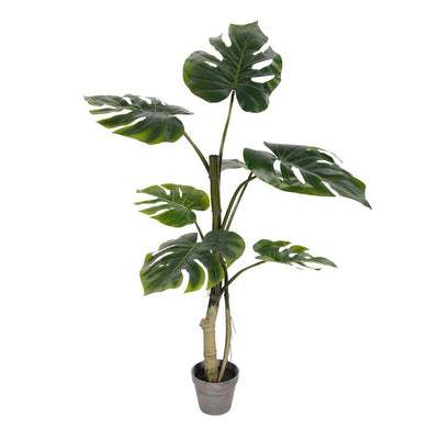 Product Image: TB180638 Decor/Faux Florals/Plants & Trees
